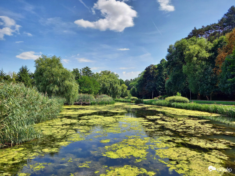 Kicsit szomorú látvány, és egyben érdekes...