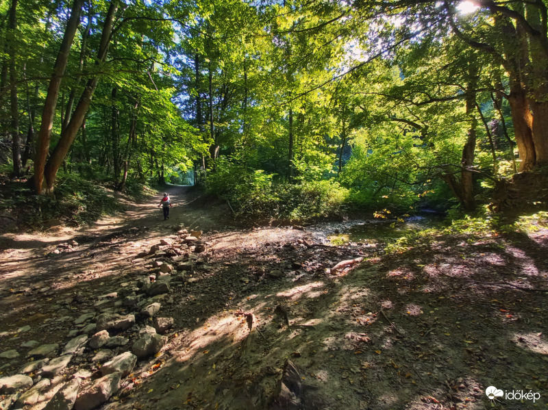 Fény-árnyék játék a Bakonyban
