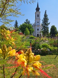 Napsütötte 