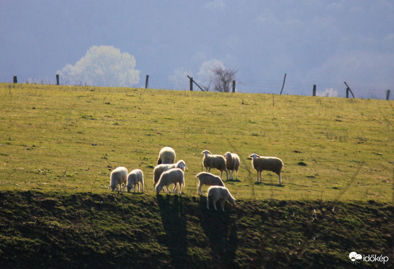 "Ember, tartsd a távolságot!"