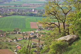 Somló