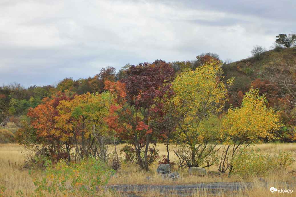 Őszi színek bűvöletében
