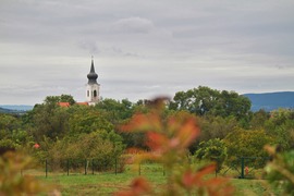 Szép lassan őszi ruhába öltözik...