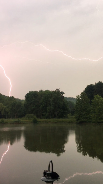 ⛈⚡️
