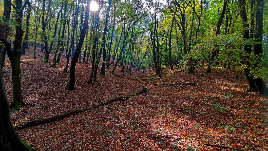 Mezőkövesd