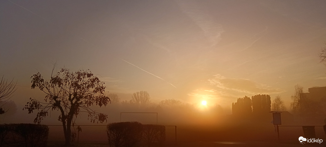 Napfelkelte