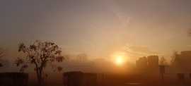 Napfelkelte