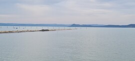 Balatonszárszó