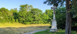 vizesmacska fotója