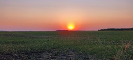 vizesmacska fotója
