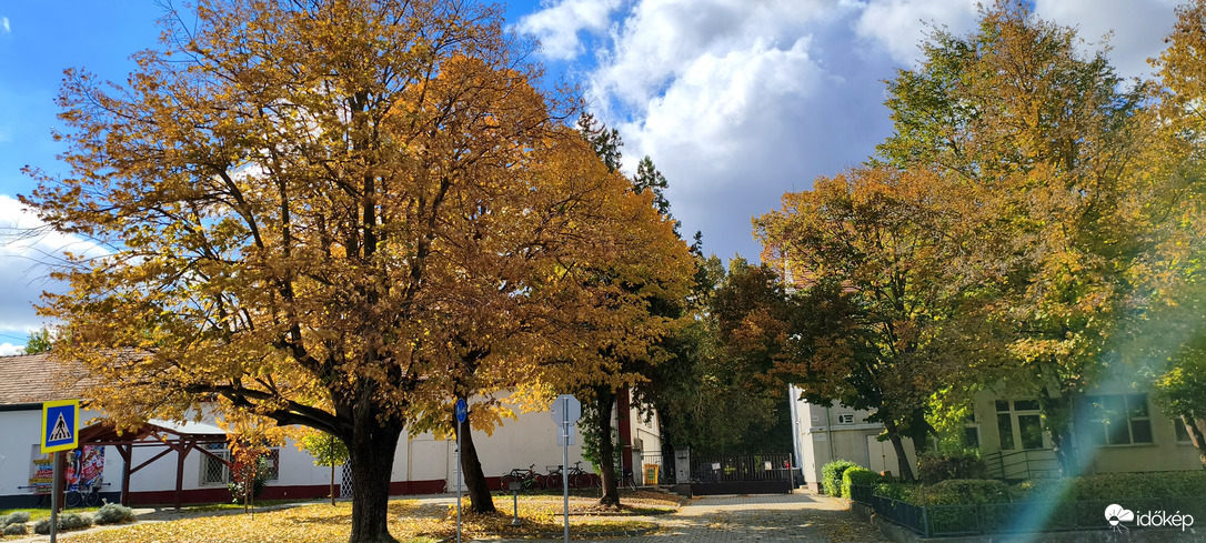 Sárosd iskola 