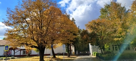 Sárosd iskola 