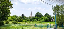 vizesmacska fotója