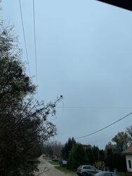 Szada