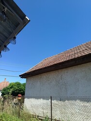 Dabas
