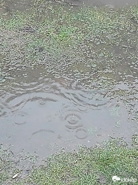 Pócspetri