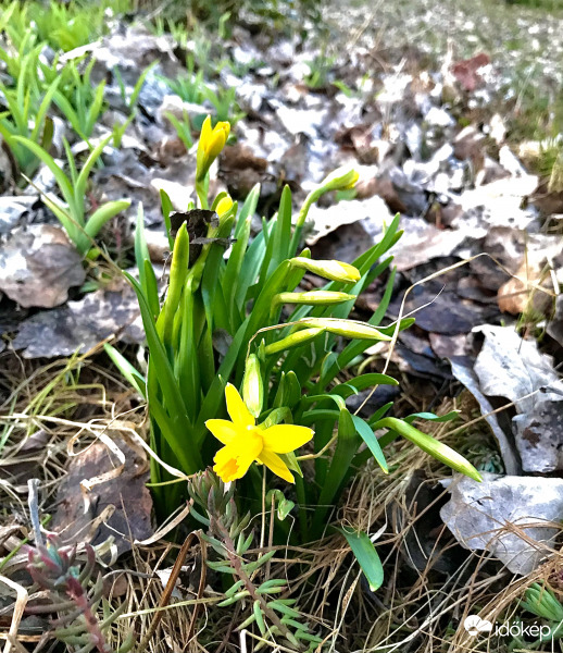Hírnök :)