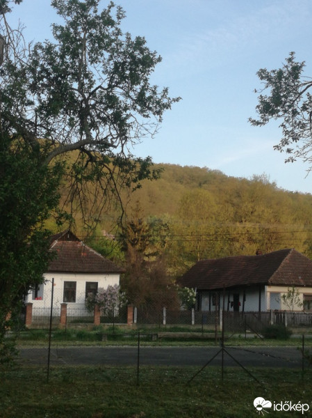 Irota