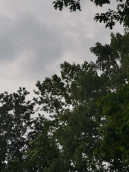 Ózd