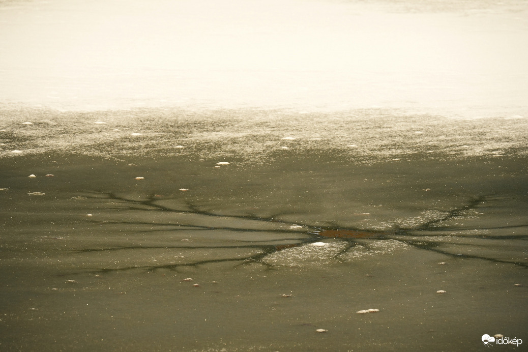 Jégpókok, tavi csillagok 3