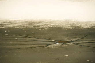 Jégpókok, tavi csillagok 3