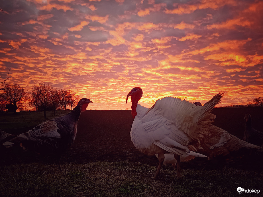 Gyönyörű naplemente 