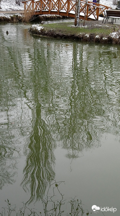 Hullámos ágak.. :)