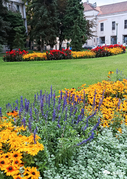 Győr 