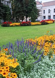 Győr 