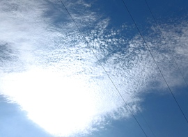 wind fotója
