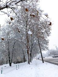 Tatabánya 
