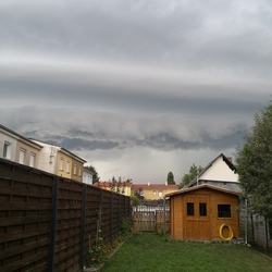 winkike fotója