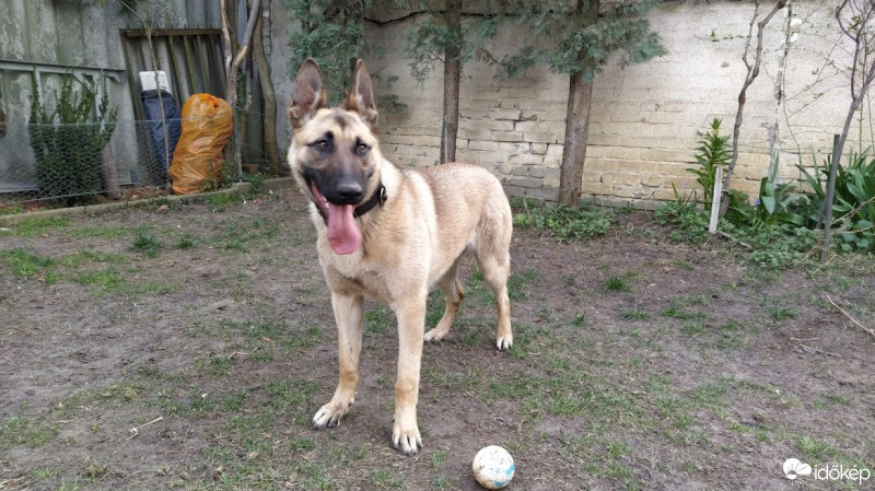 Budapest XX.ker - Pesterzsébet