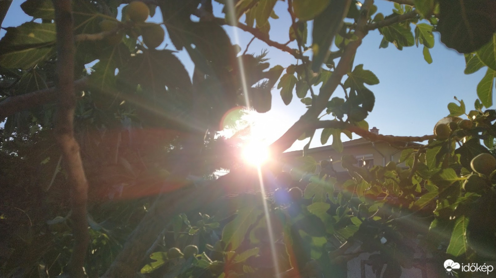 Budapest XX.ker - Pesterzsébet