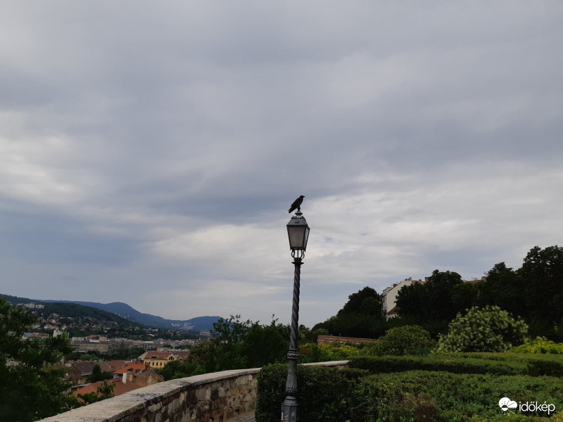 Budapest I. kerület, Budai vár - Fehérvári rondella