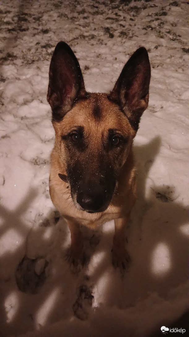Sikerekben gazdag, boldog új évet kívánunk mindenkinek Mayával, akire ráköszöntött a hó! :)