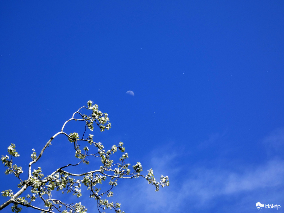 Tegnapi holdaskép, kísérőkkel