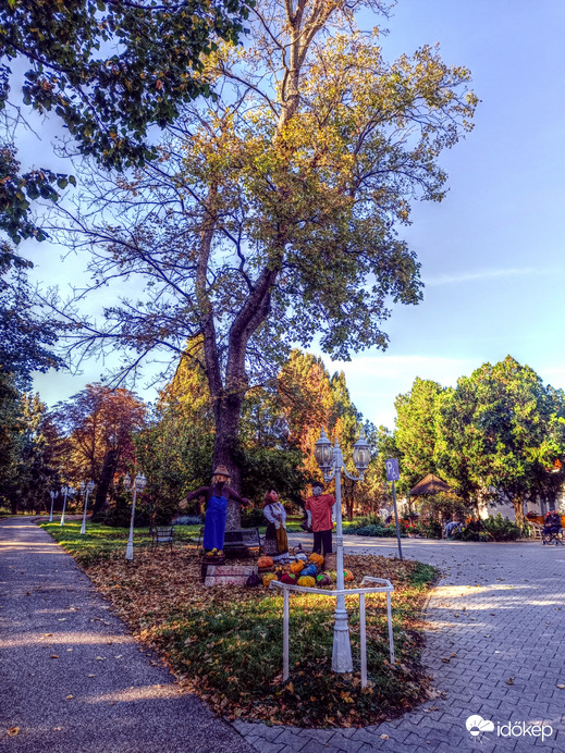 Ősz a parkban