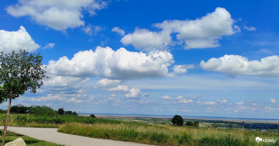 Fertő-tó báránykái