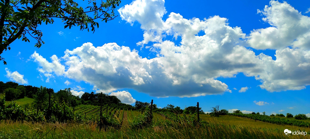 Goldberg (Aranyhegy) eső után