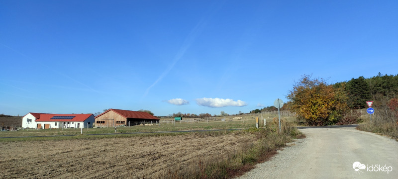Kóbor-ló-k