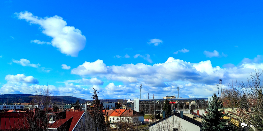 Még egy elefánt is szerepel rajta