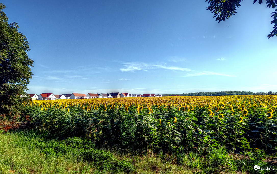 Napraforgós lakópark