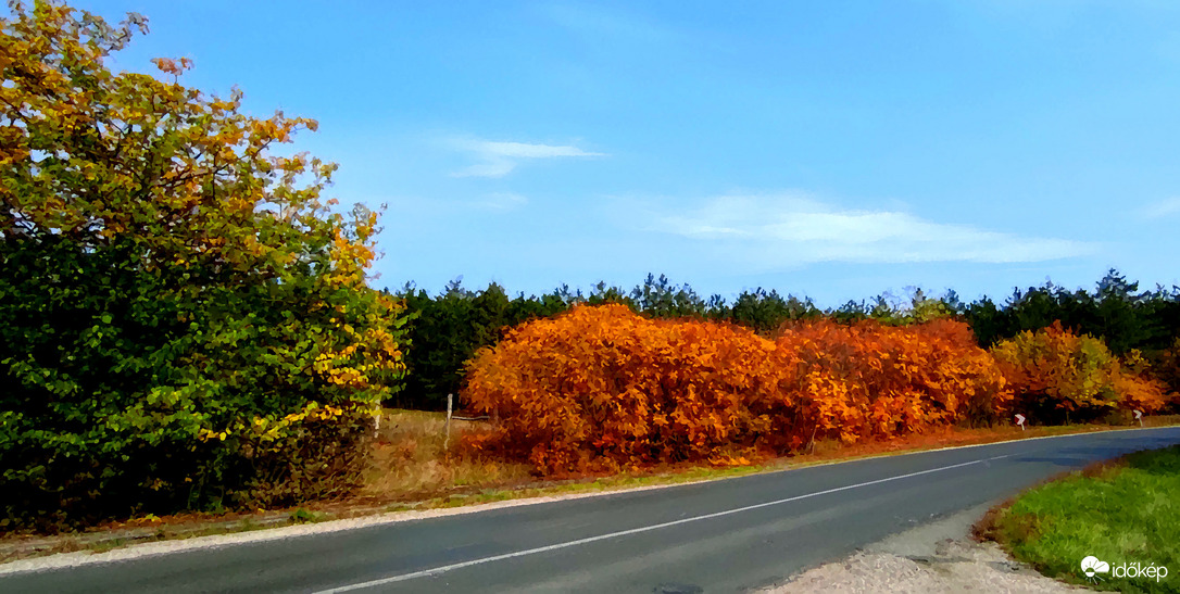 Az Ősz már a kanyarban is előz ...