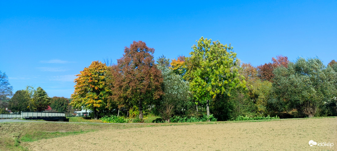 Őszi színkavalkád - a patakparton 