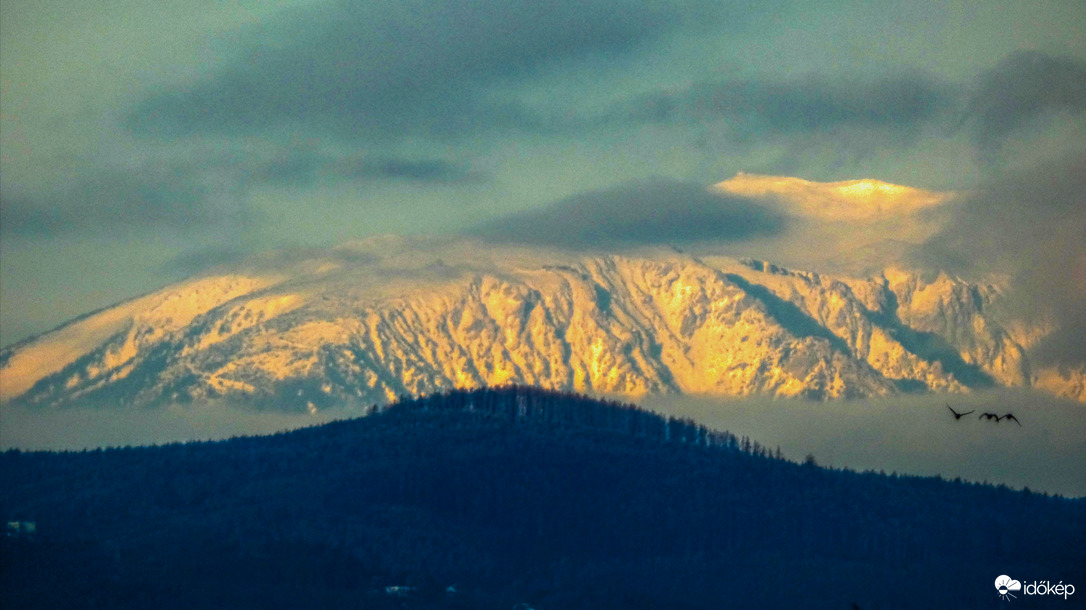 Madarak röpte - VMA