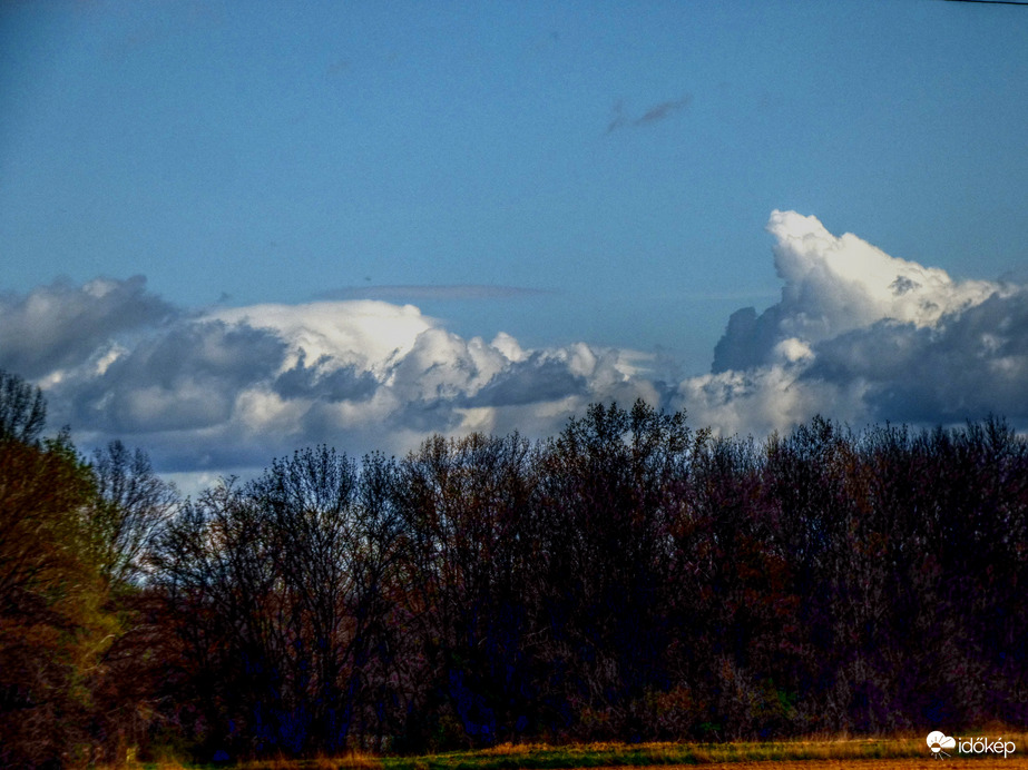 Délelőtti gyülekezők