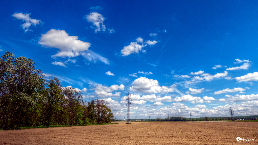 A bárányok (hallgatnak) repkednek