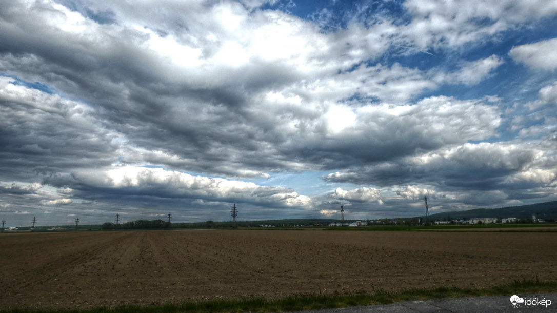 Szélfútta délután