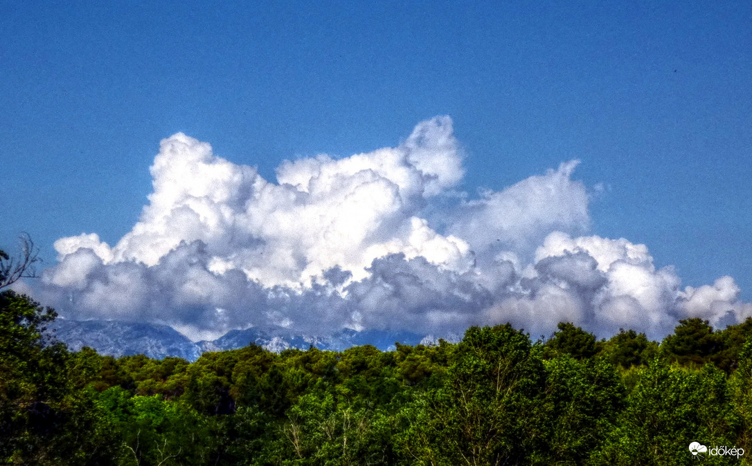 Vágtat fakó lován